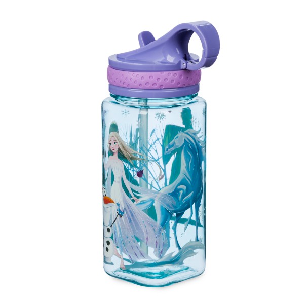 Disney Frozen 2 Kids Water Bottle Set with Reusable Straws and