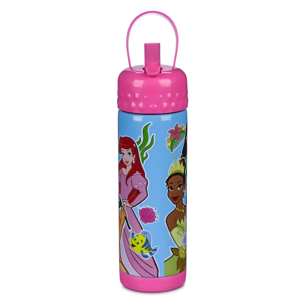 Disney Princess Stainless Steel Water Bottle with Built-In Straw