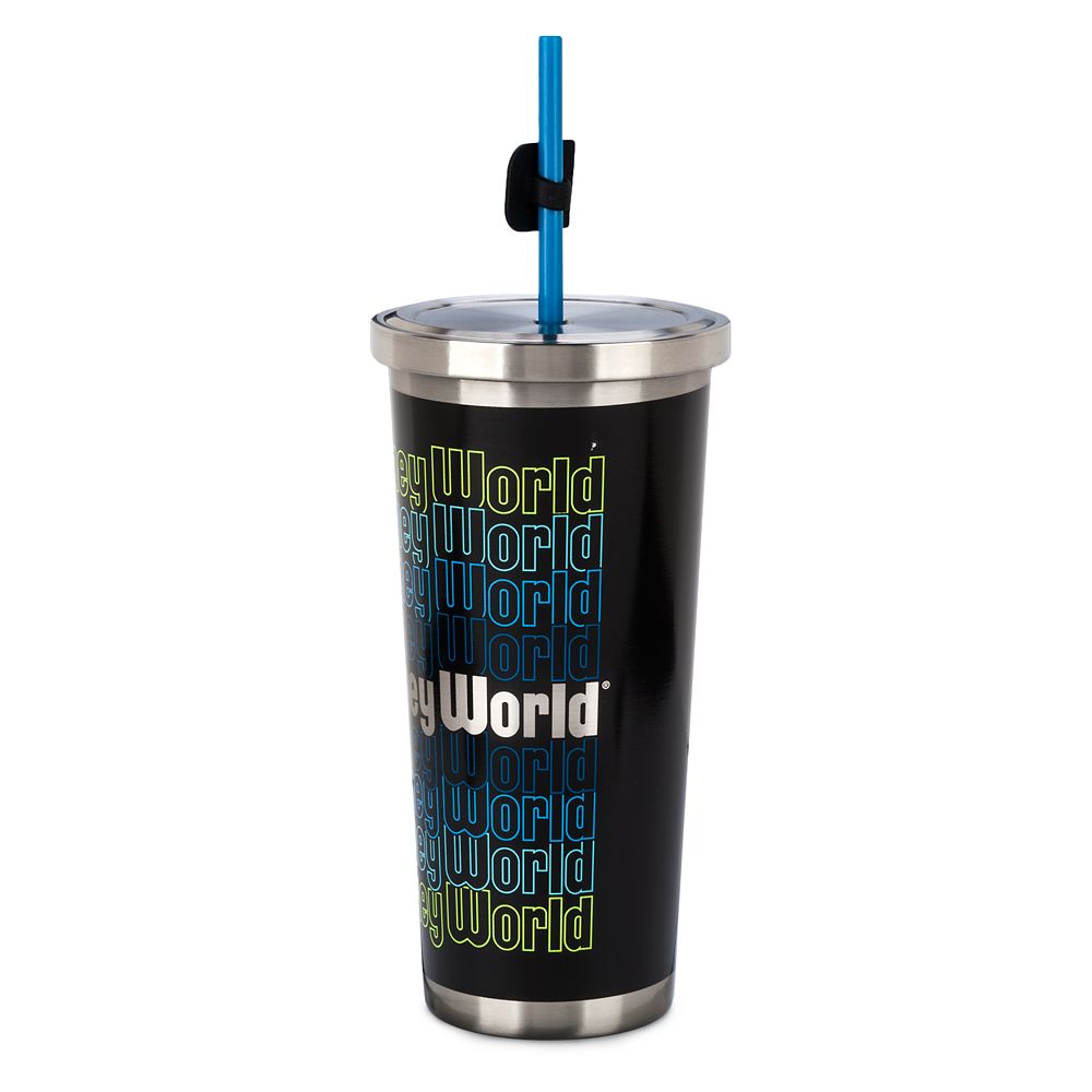 Walt Disney World Stainless Steel Tumbler with Straw