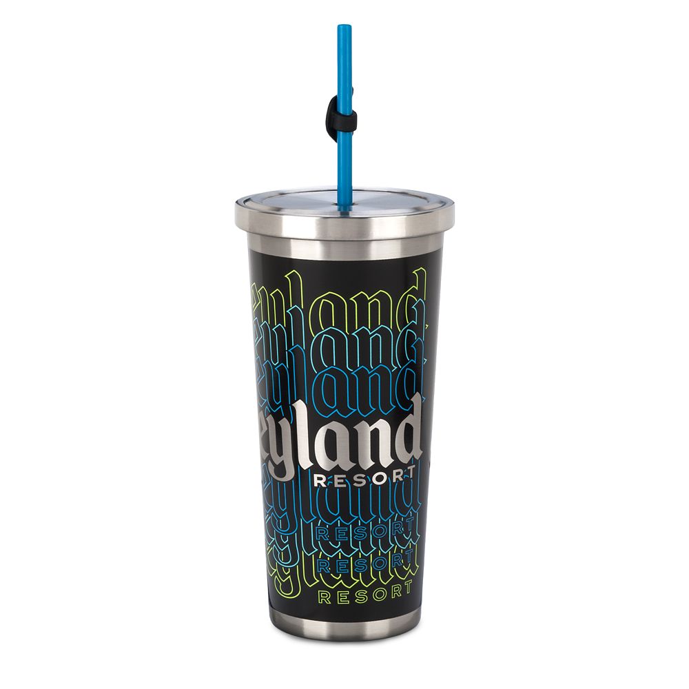 Disneyland Stainless Steel Tumbler with Straw