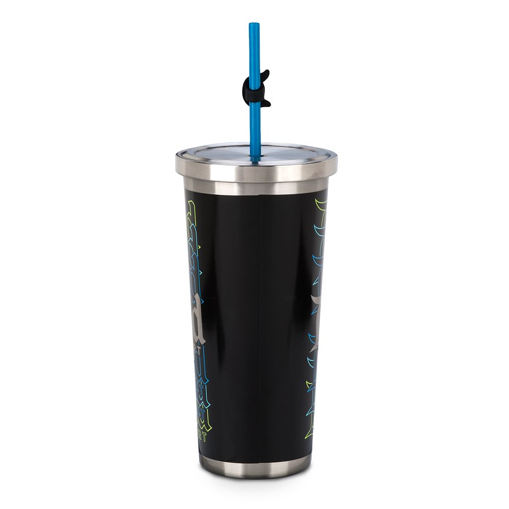 Disneyland Stainless Steel Tumbler with Straw