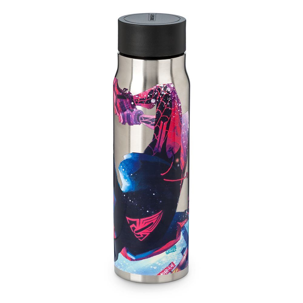 Miles Morales Artist Series Stainless Steel Water Bottle by Mateus Manhanini