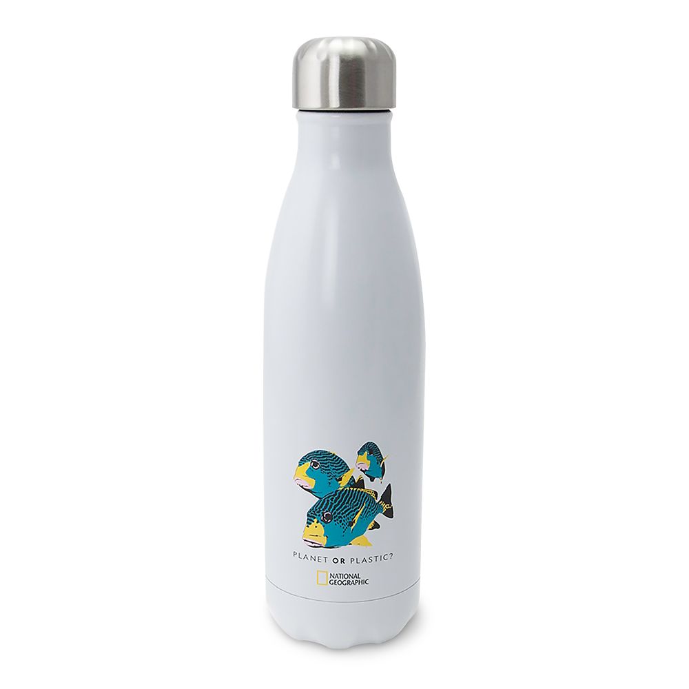 National Geographic Fish S'well Water Bottle