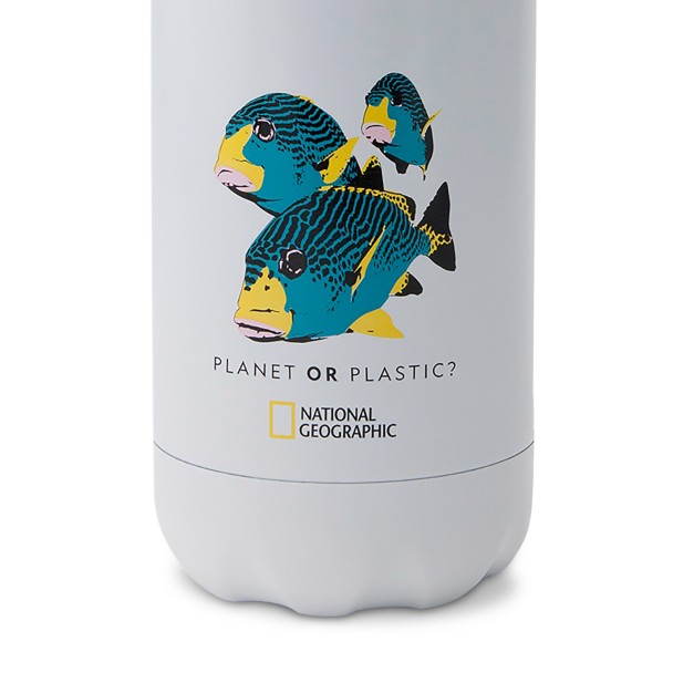National Geographic Fish S'well Water Bottle