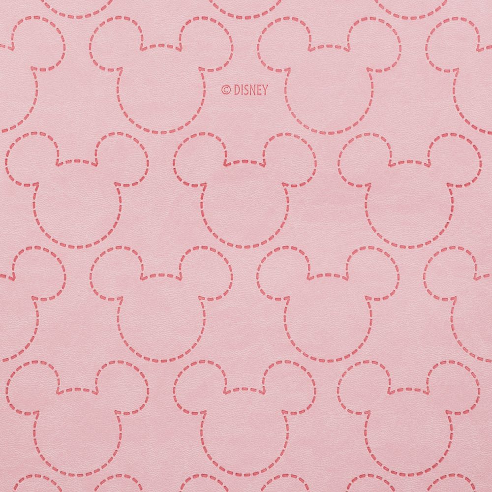 Mickey Mouse Icon File Organizer