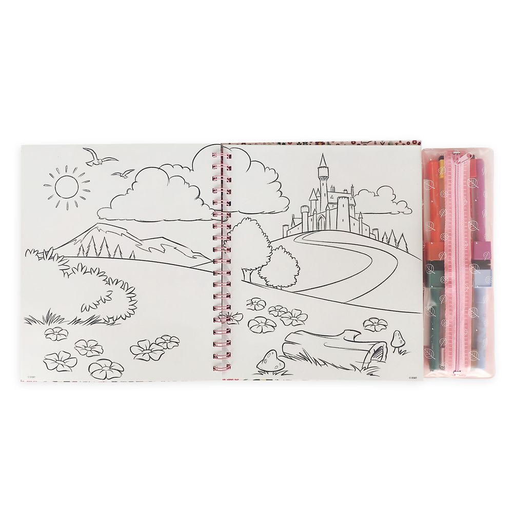 Disney Animators' Collection Storybook Coloring and Activity Set