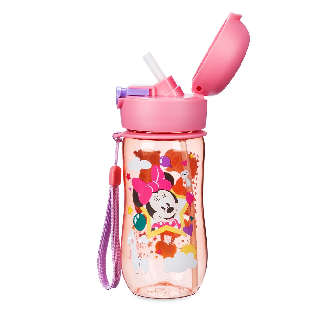 Minnie Mouse Canteen