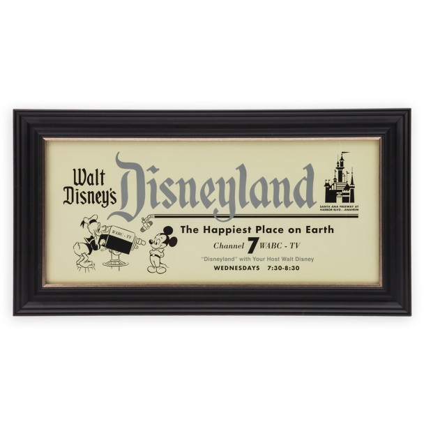 Walt Disney's Disneyland Framed Art – Disney100