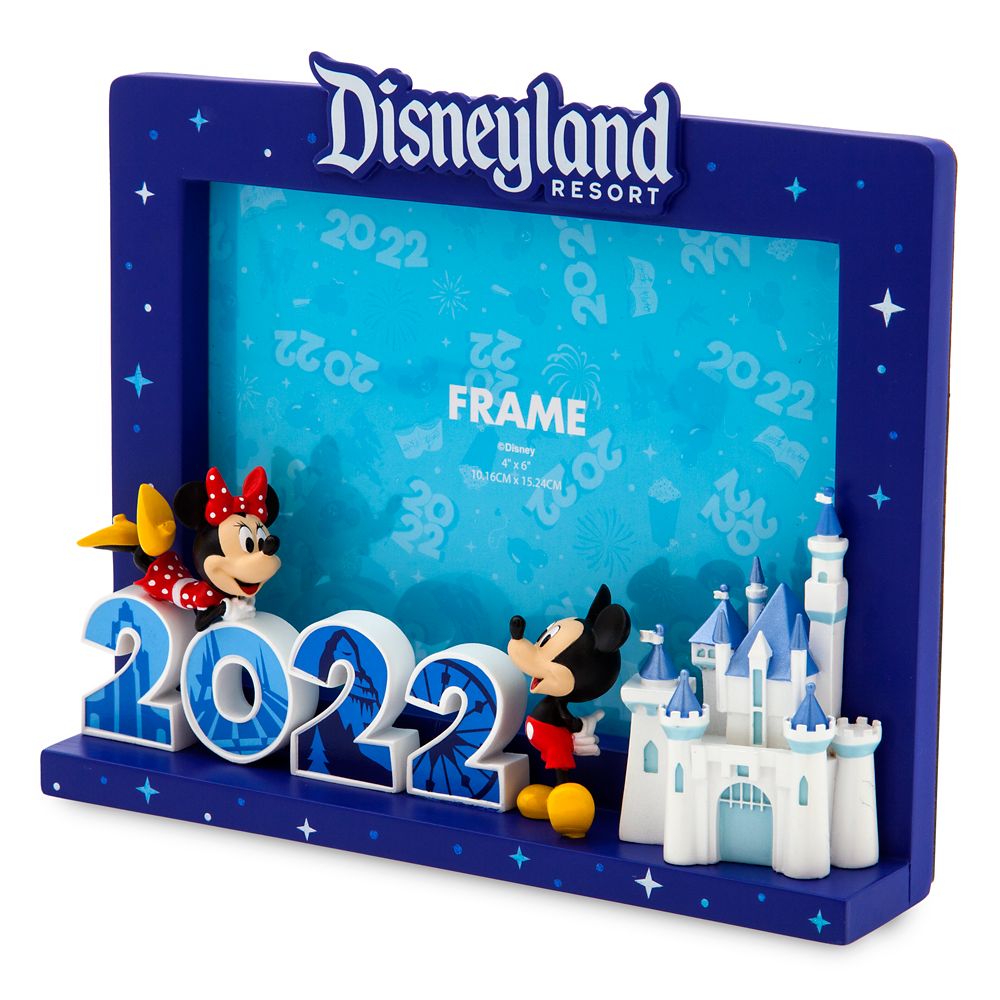 Disneyland Picture Frame 2024 - Beret Ceciley