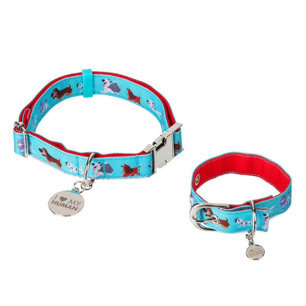 dog collar and bracelet