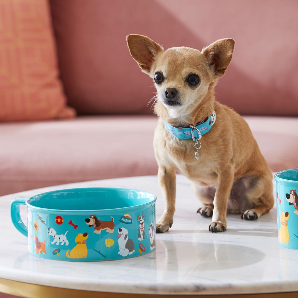 matching dog bowls