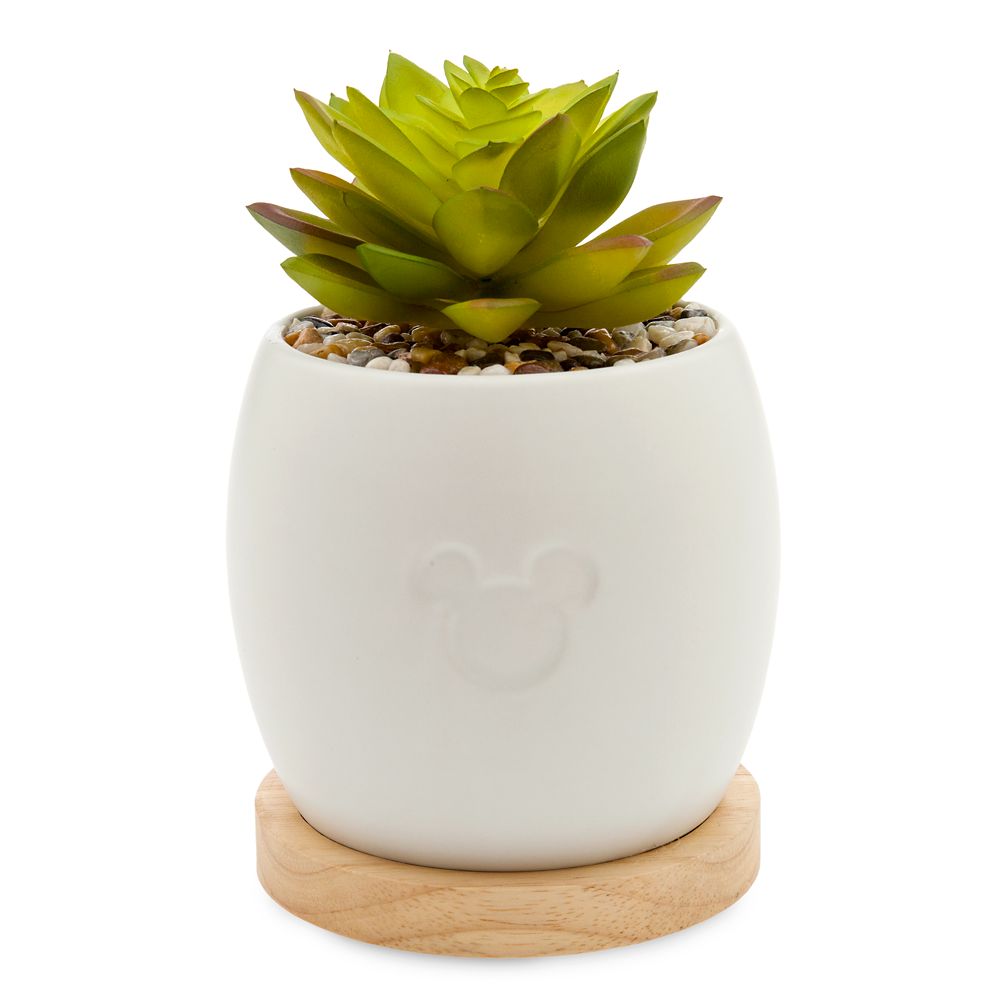 Mickey Mouse Succulent Planter has hit the shelves for purchase