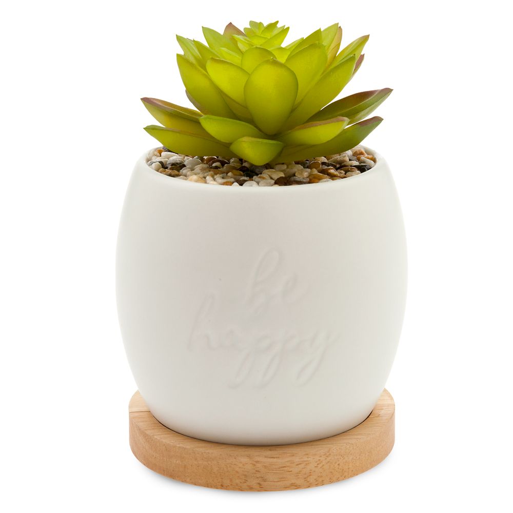 Mickey Mouse Succulent Planter