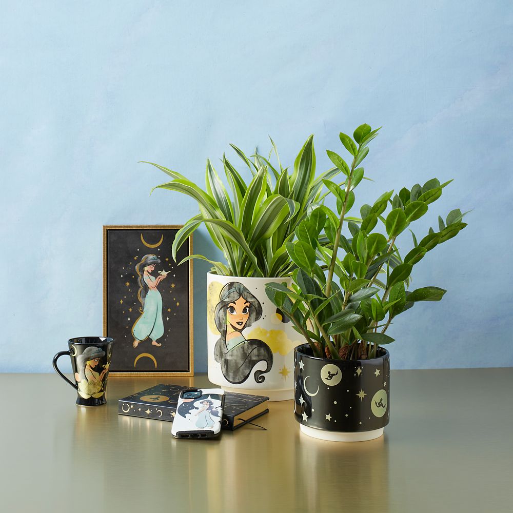 Jasmine Planter – Aladdin – Small