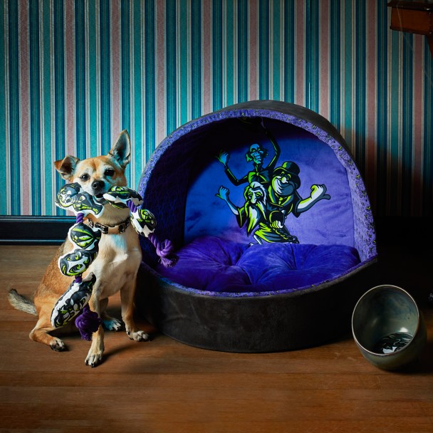 The Haunted Mansion Pet Bowl