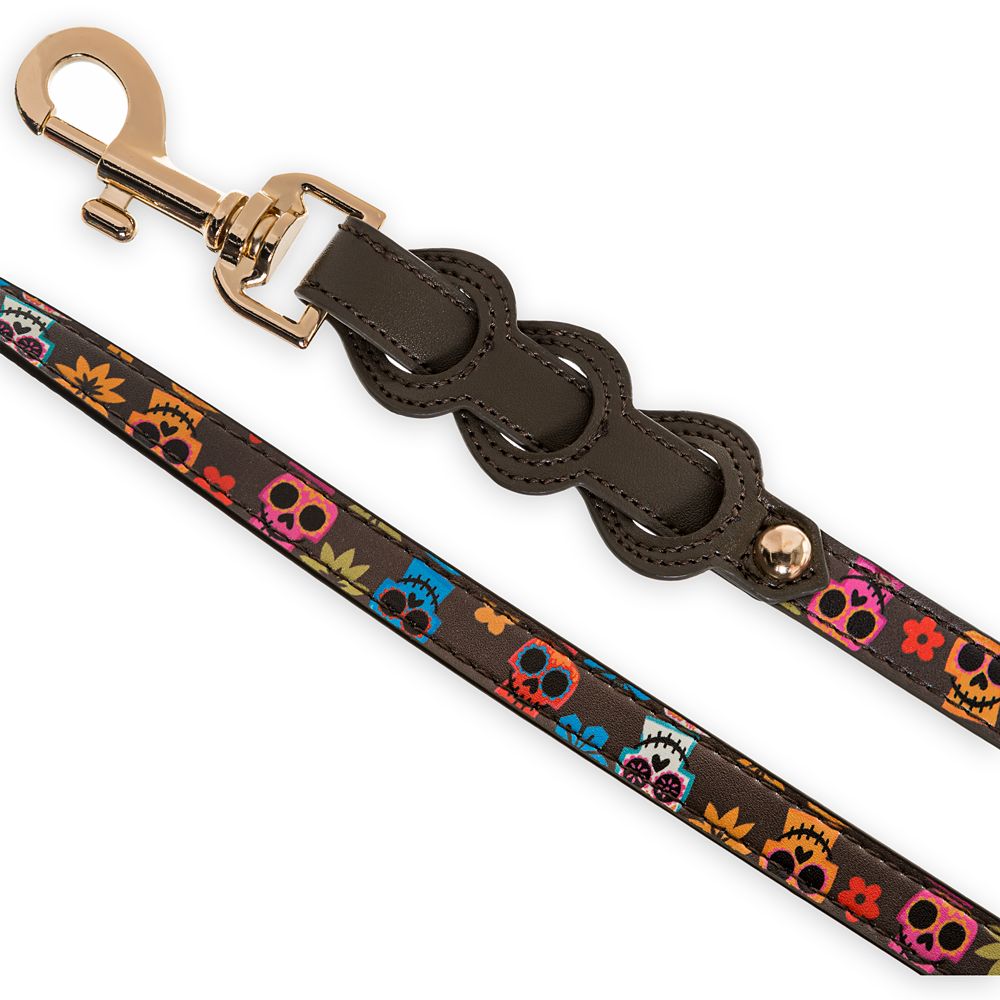 Coco Pet Lead