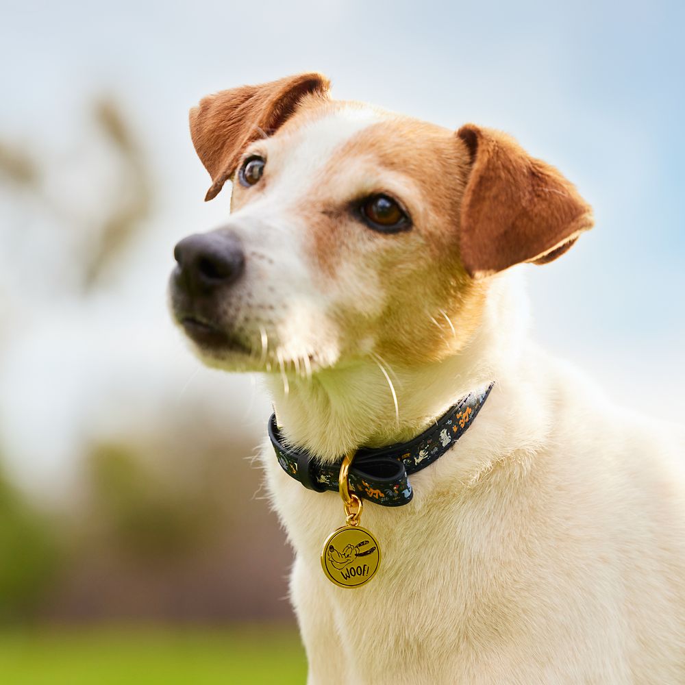 Disney Critters Dog Collar