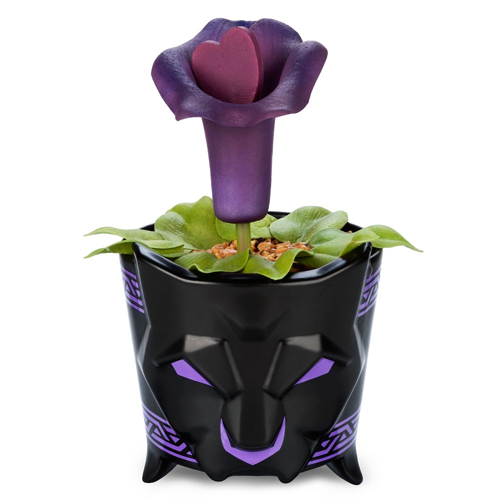 Black Panther Planter – World of Wakanda