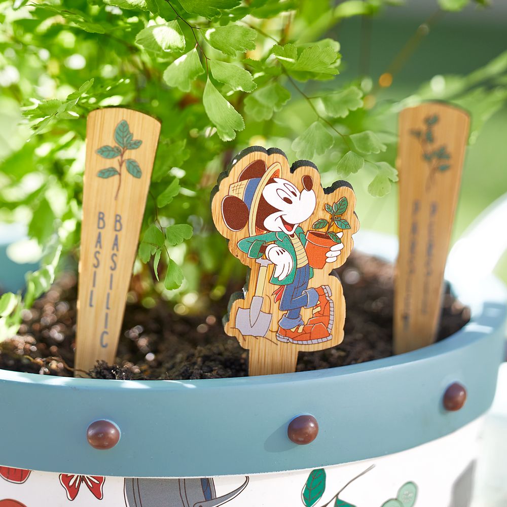 EPCOT International Flower & Garden Festival 2022 Garden Stake Set