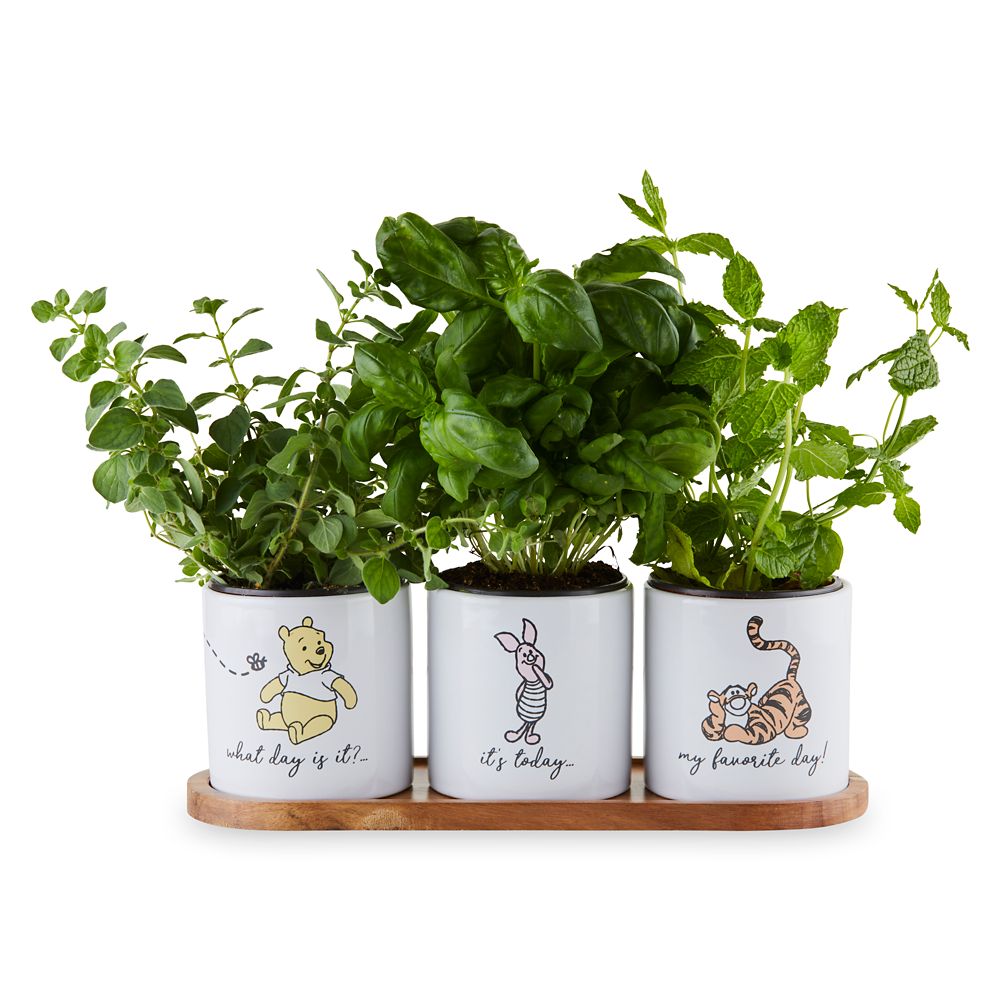 Winnie the Pooh and Pals Herb Planter Set