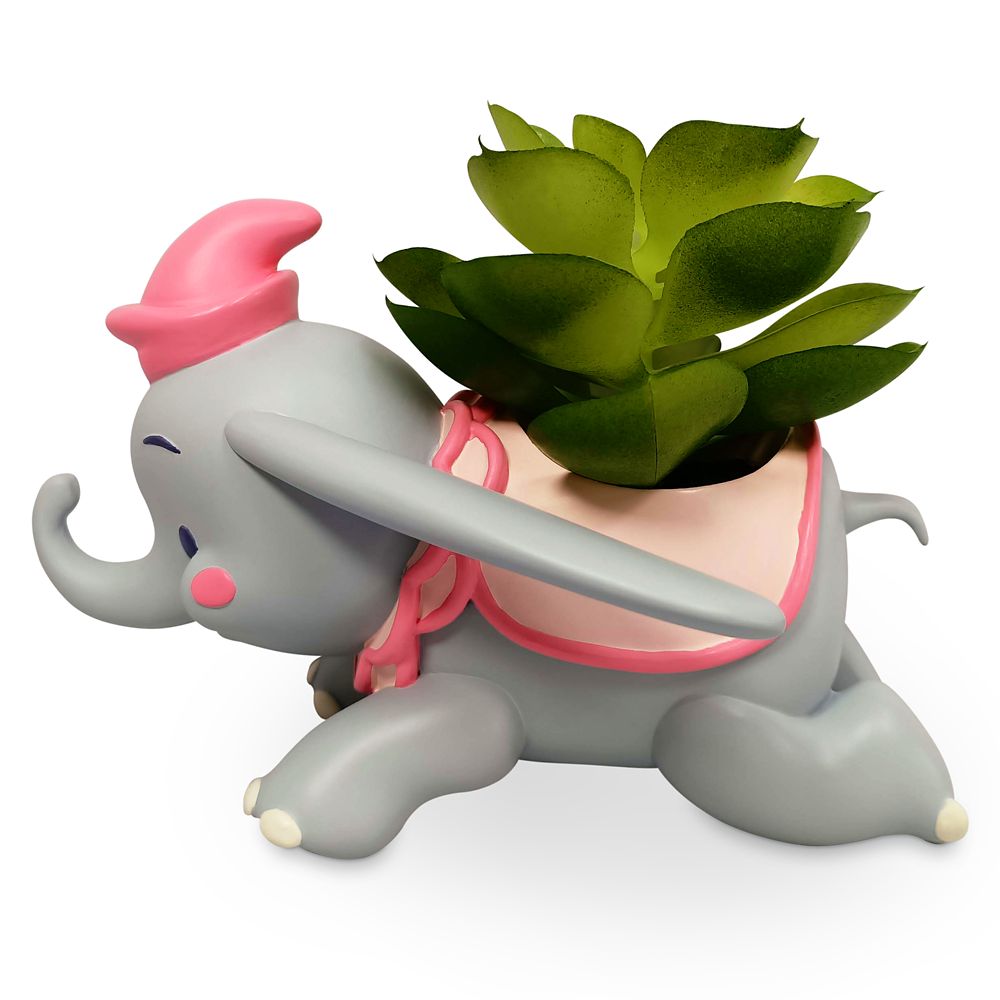 Dumbo Succulent Planter by Jerrod Maruyama