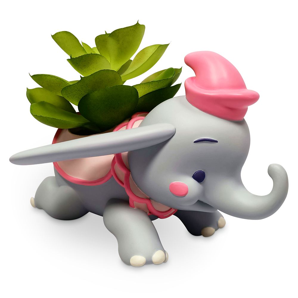 Dumbo Succulent Planter by Jerrod Maruyama