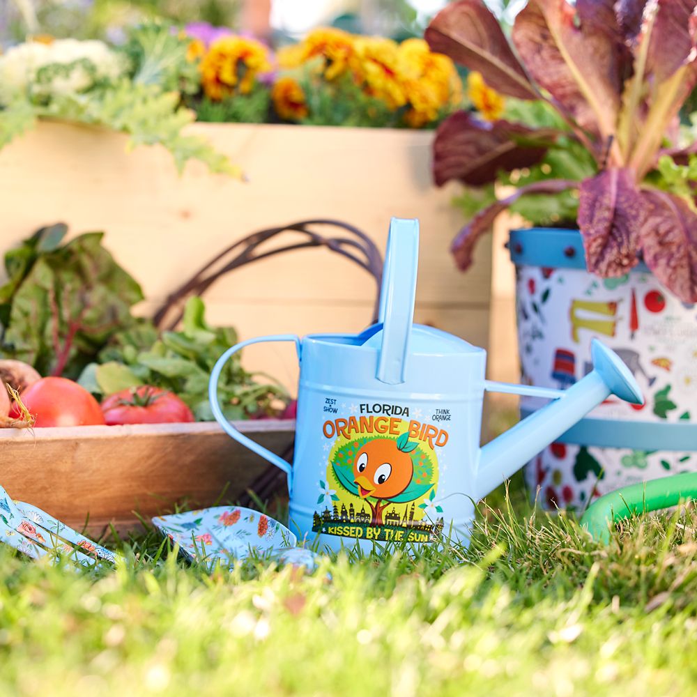 Orange Bird Watering Can – EPCOT International Flower & Garden Festival 2022