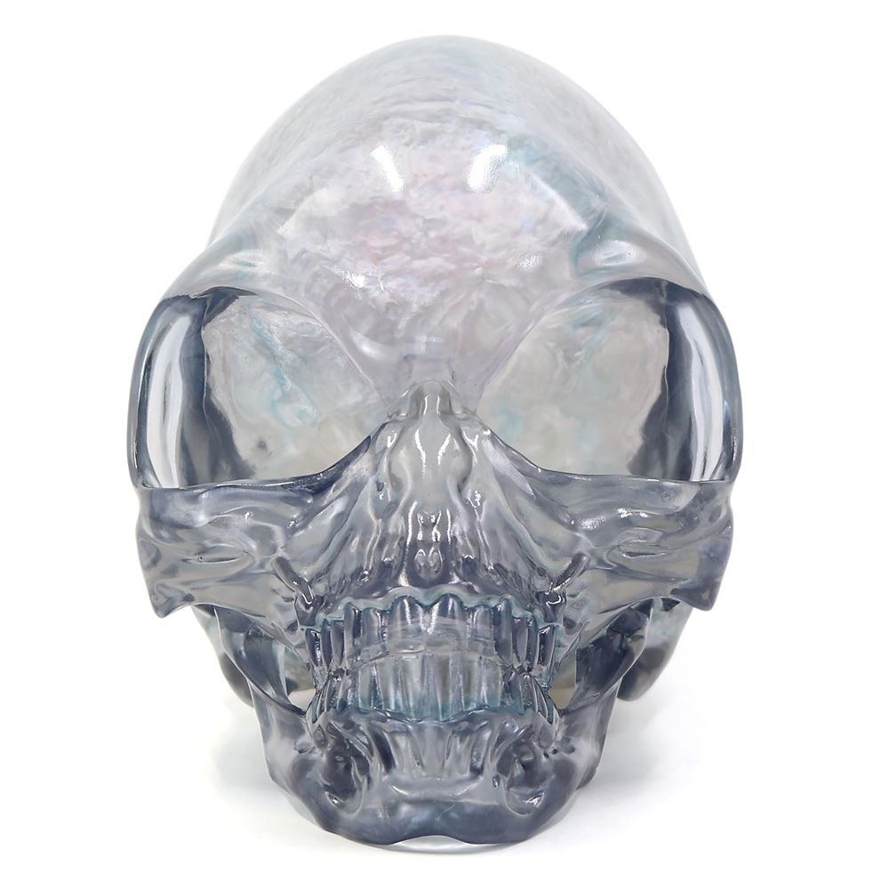 13 CRYSTAL SKULLS