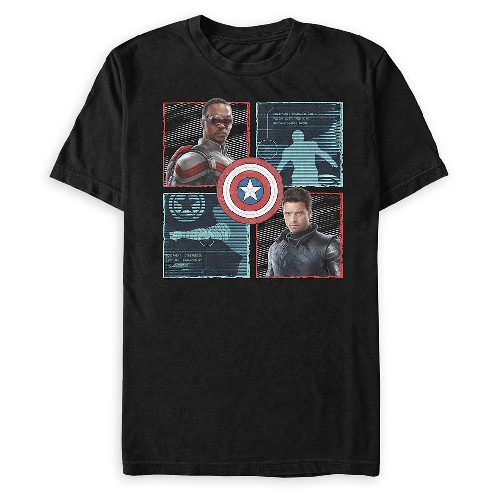 The Falcon and the Winter Soldier T 