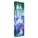''Cinderella's Castle'' Gallery Wrapped Canvas by Tom Matousek – Limited Edition