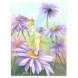 ''Delicate Petals'' Gallery Wrapped Canvas by Michelle St.Laurent – Limited Edition