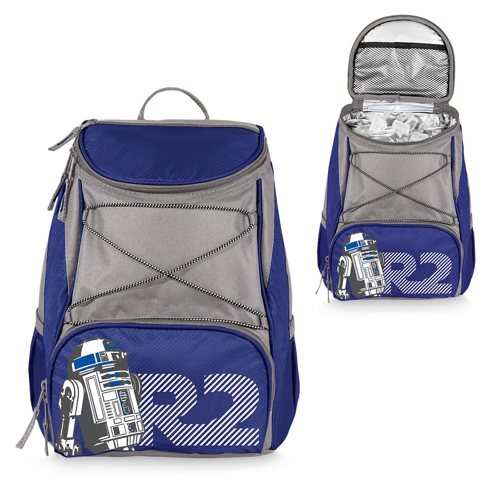 r2d2 backpack