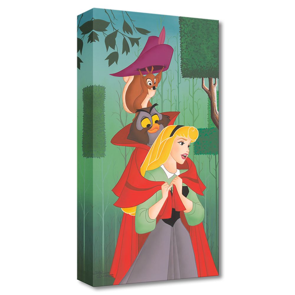 Sleeping Beauty ''Dream Prince'' Canvas Artwork by Don ''Ducky'' Williams – Limited Edition