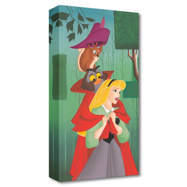 Sleeping Beauty ''Dream Prince'' Canvas Artwork by Don ''Ducky'' Williams – Limited Edition