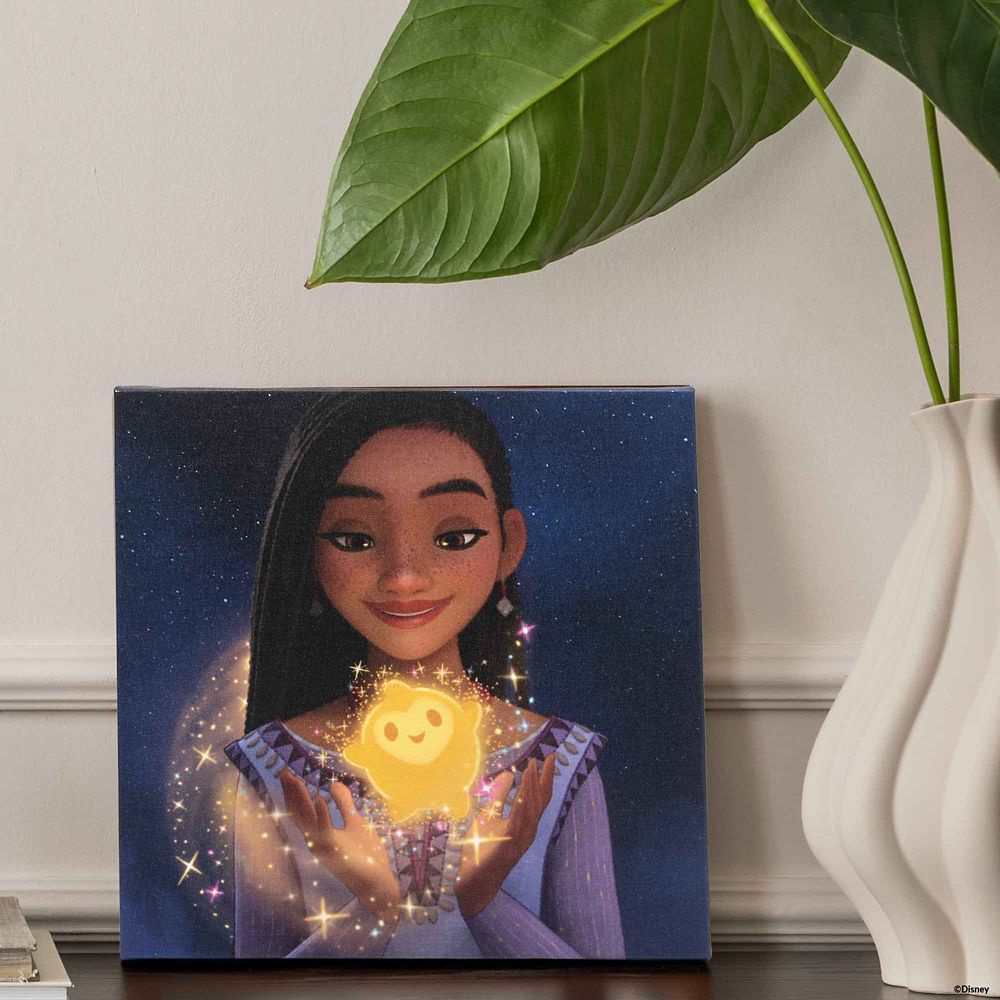 Asha and Star Dreamy Canvas Wall Décor – Wish