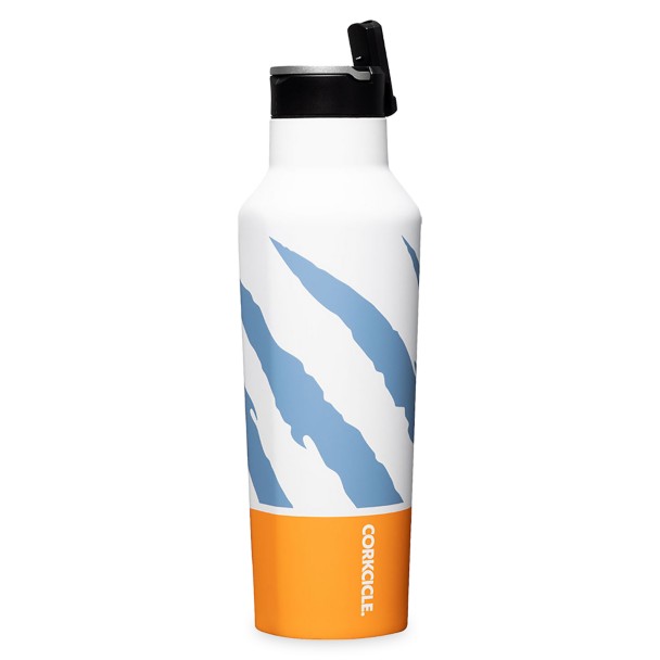 Corkcicle 20 Ounce Sport Canteen Stainless Steel Water Bottle