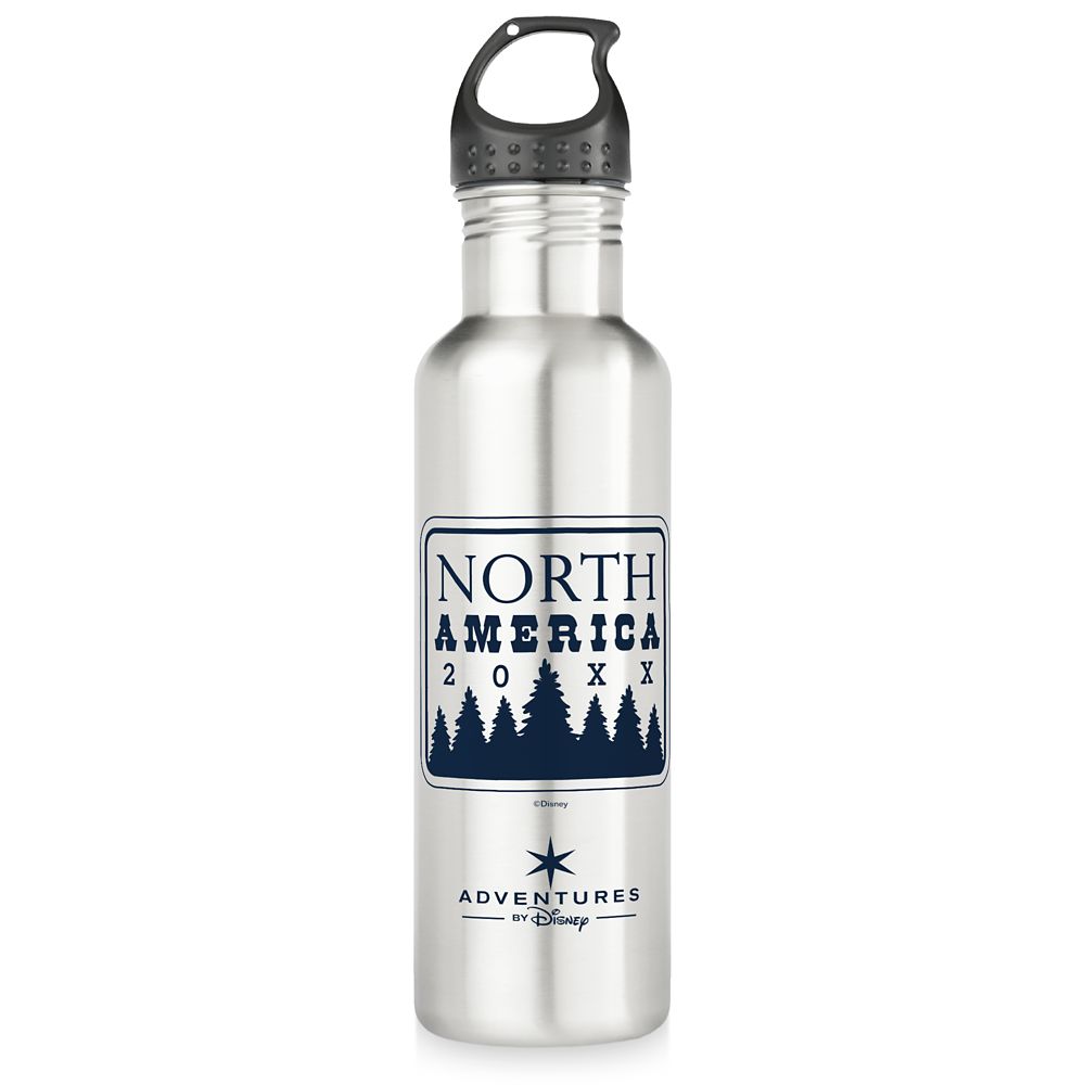 Adventures by Disney North America Family Adventure Stainless Steel Water Bottle  Customizable