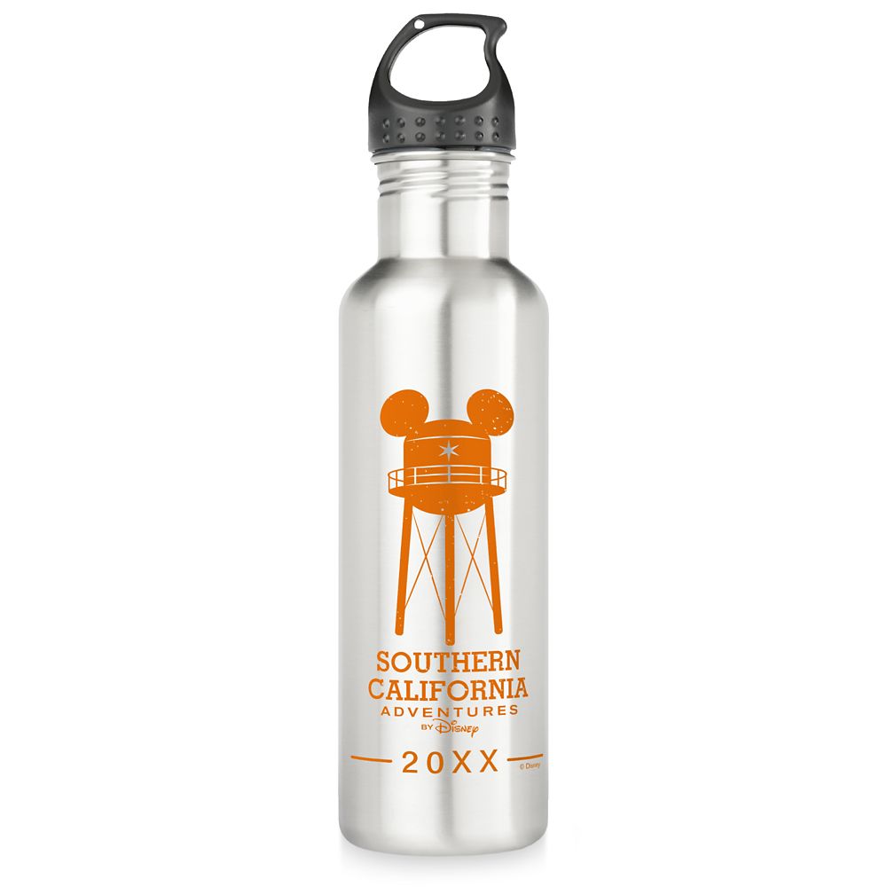 Adventures by Disney Southern California Stainless Steel Water Bottle  Customizable