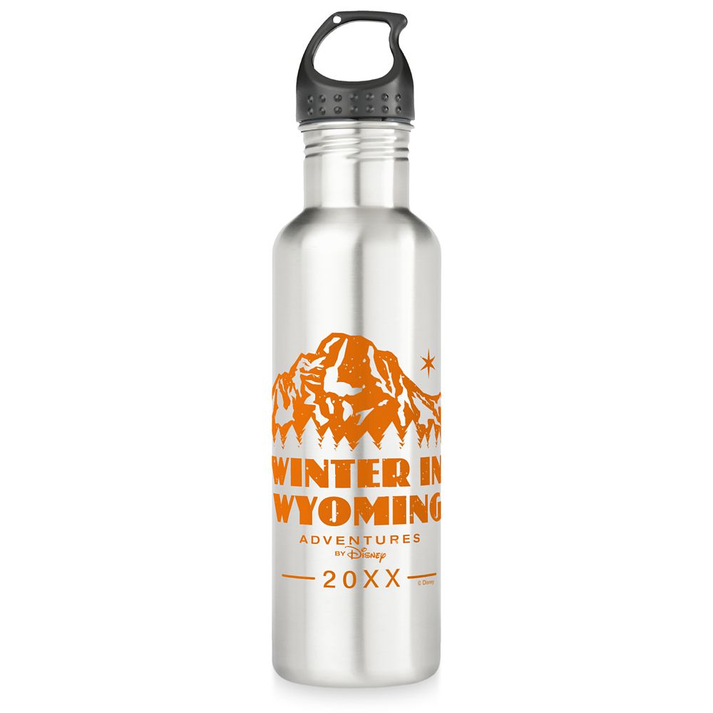 Adventures by Disney Winter in Wyoming Stainless Steel Water Bottle  Customizable