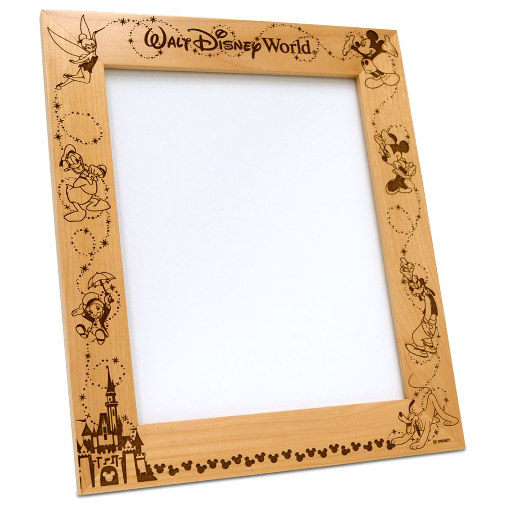 Walt disney world picture deals frame