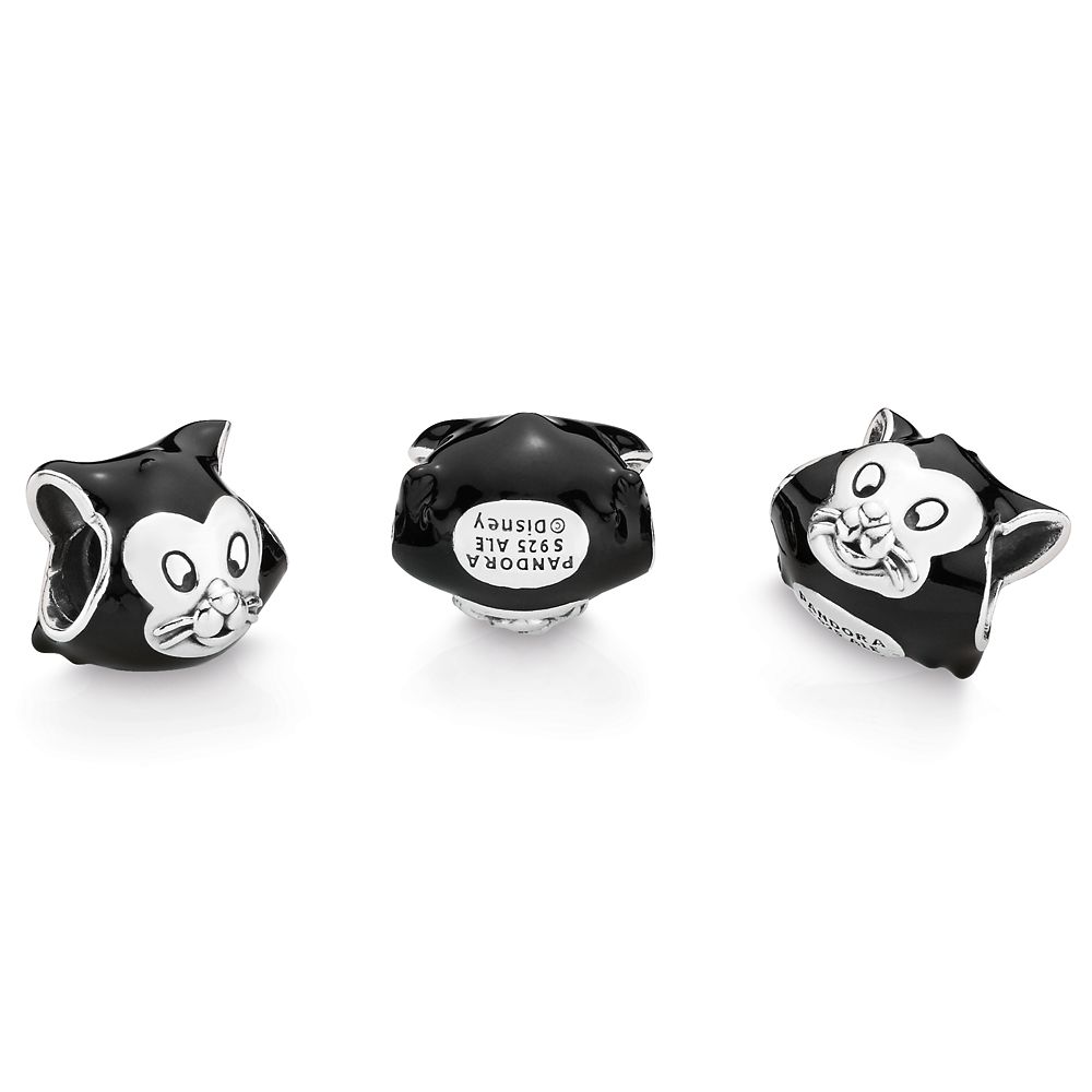 charms pandora s charms pandora s