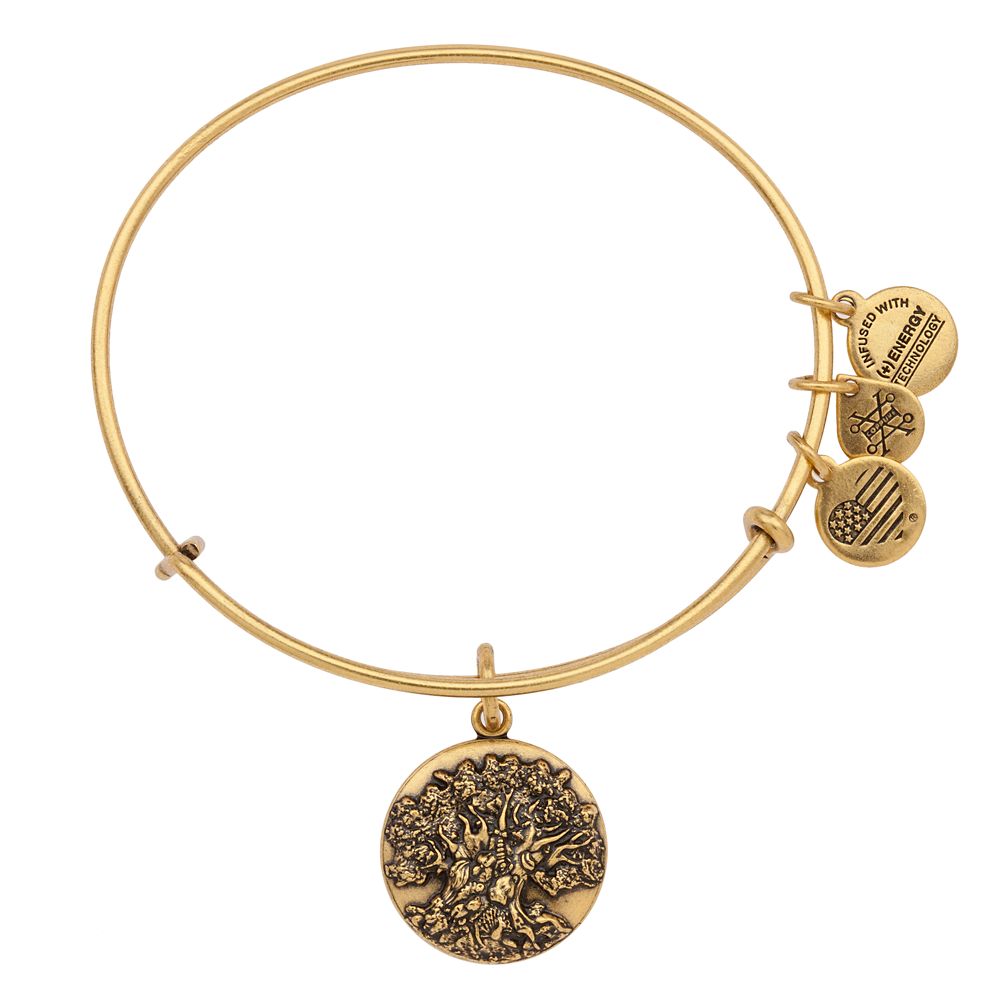 alex and ani pet bracelet