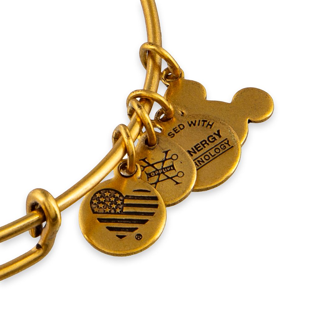 The Haunted Mansion 50th Anniversary Bangle by Alex and Ani