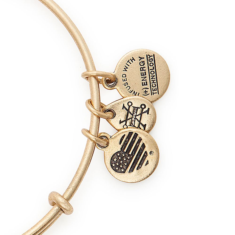 Belle Mirror Bangle by Alex and Ani