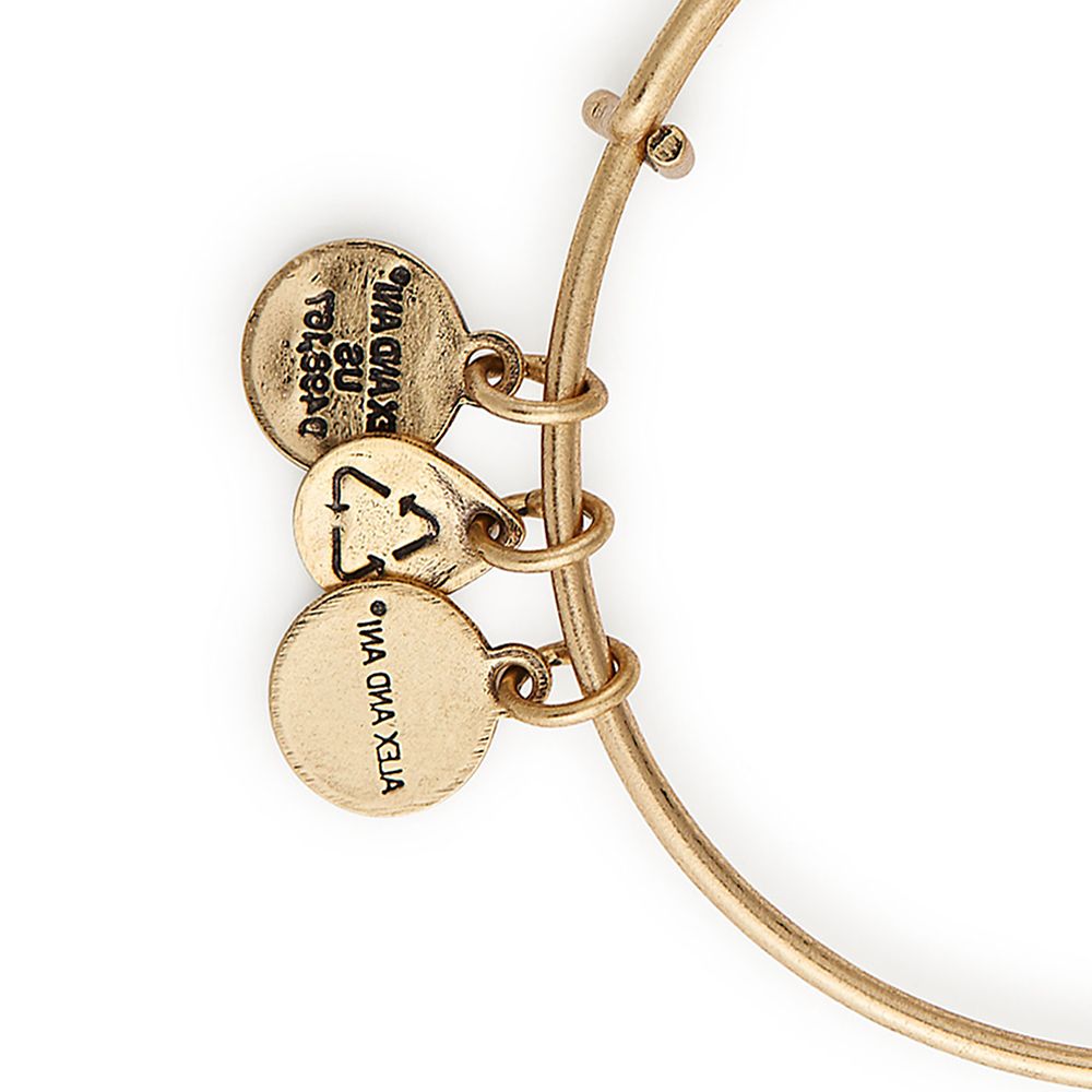 Belle Mirror Bangle by Alex and Ani