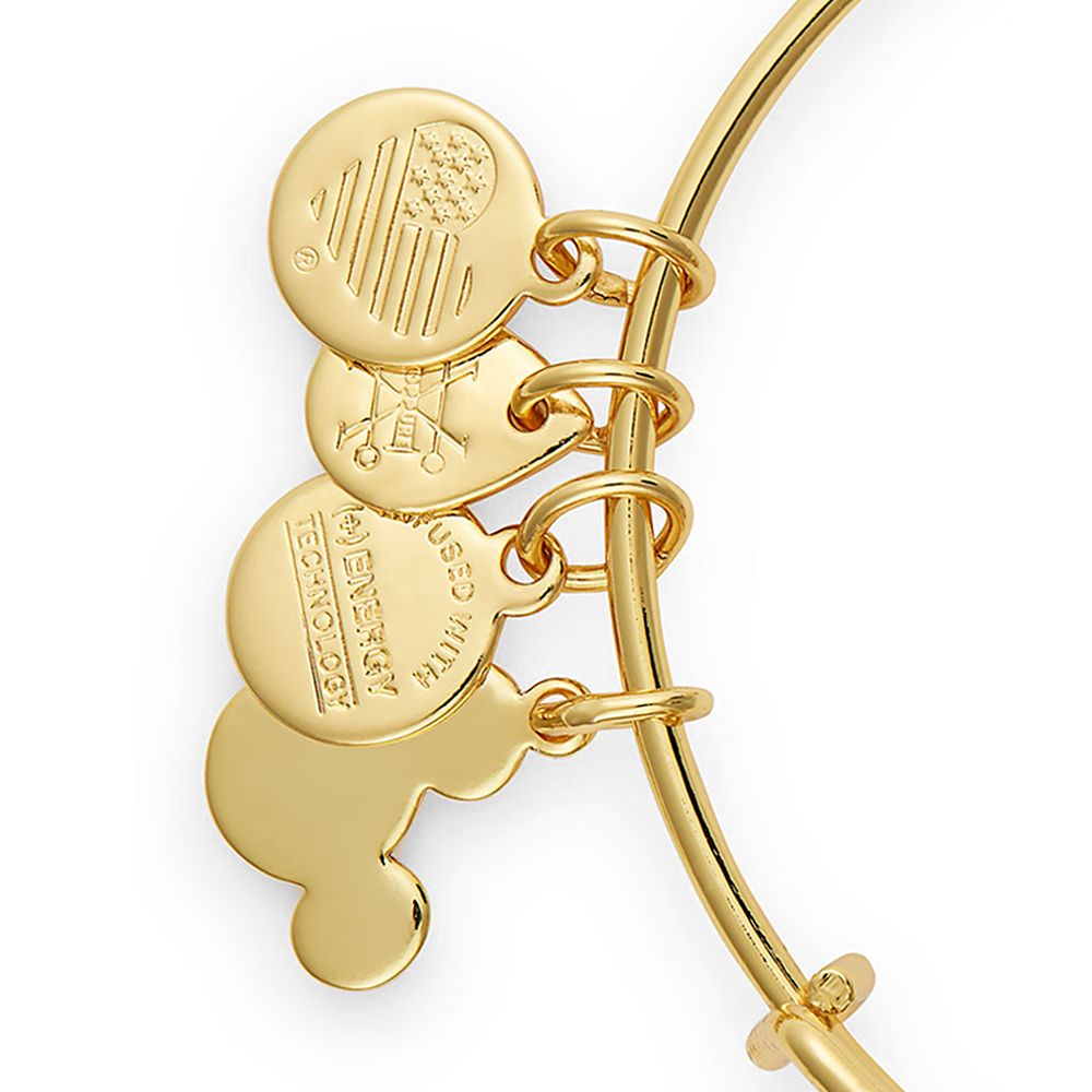 Belle Bangle by Alex and Ani