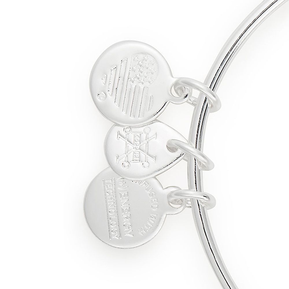 Holiday Treat Bangle by Alex and Ani