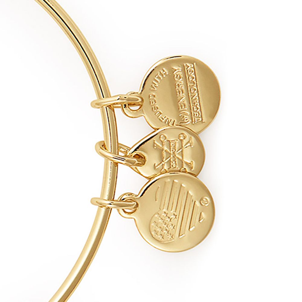 Elastigirl ''Incredible Mom'' Bangle Set by Alex and Ani