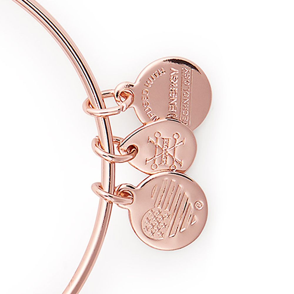 Up Bangle Set by Alex and Ani