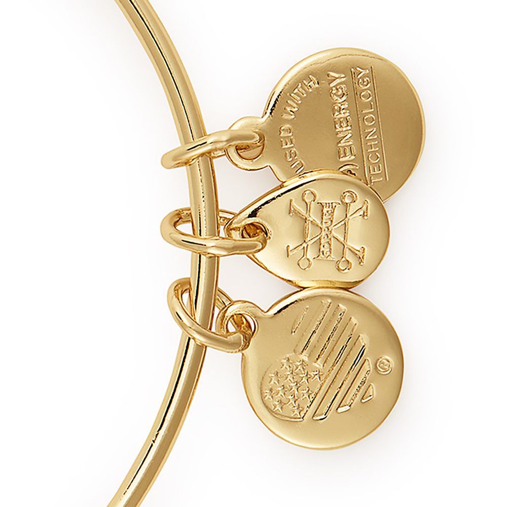 Disney's Animal Kingdom Bangle by Alex and Ani